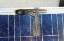 Puntos calientes en un panel solar barato