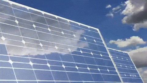 What are the best brands of solar modules