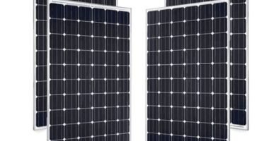 Sunmodule solar panels review